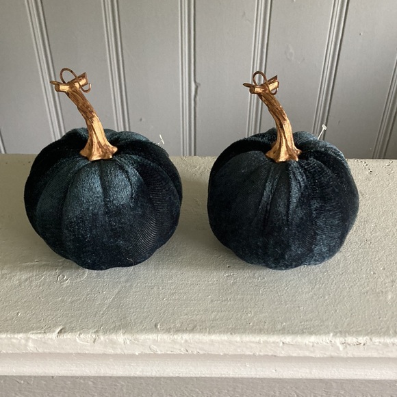 NWT Set of 2- Velvet Pumpkins- Dark Blue Fall Holiday Decorations 🎃 - Picture 16 of 16